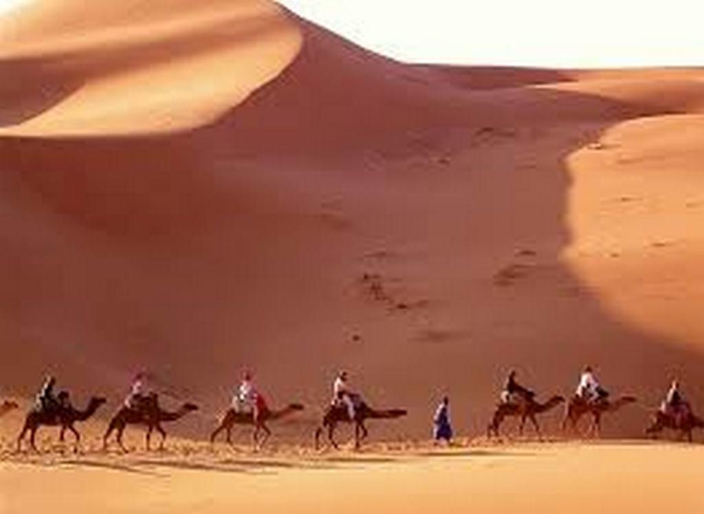 الأقصر Grand Hotel المظهر الخارجي الصورة